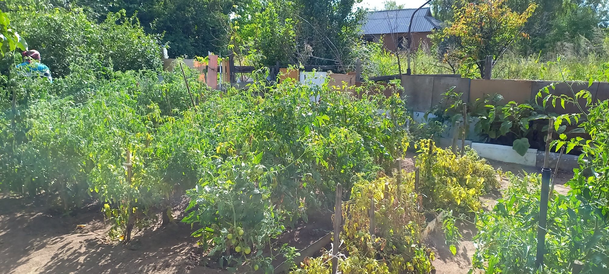 Продам 3х комнатн квартиру