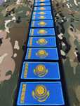 Шеврон Нашивка Понон Эмблема Логотип