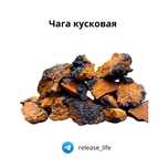 Сушеные лечебные грибы