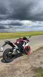 Продам racer storm 250куб