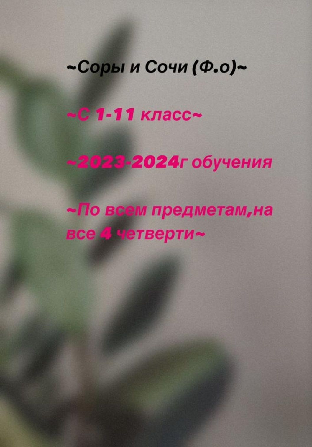 Соры Соч по всем предметам.С 1 по 11 классы