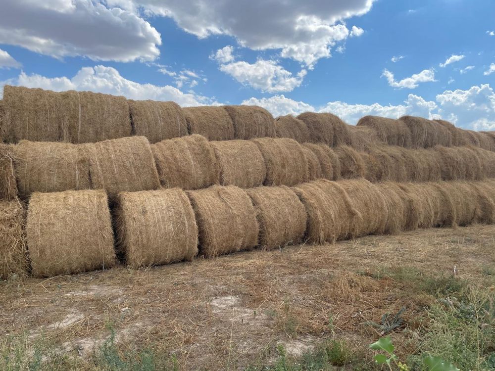 Продам солому в рулоннах и тюках из под ячменя