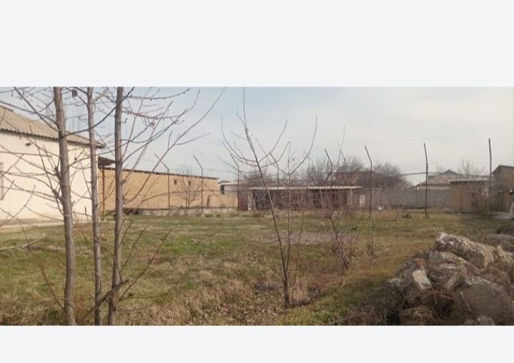 Сарыагаш Карлмакс уй сатылады