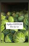 Арбуз Қарбыз ОПТОМ от 60 тг АРБУЗ МЕСТНЫЙ