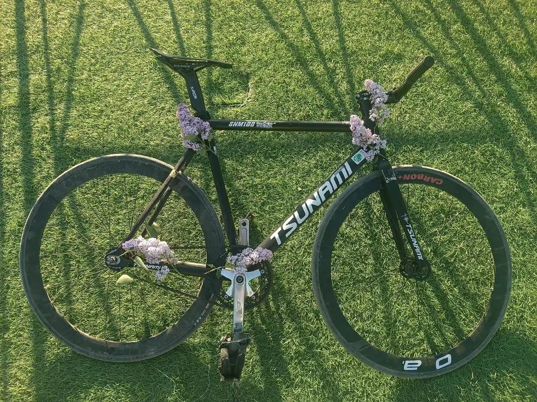Fixed gear Tsunami snm 100