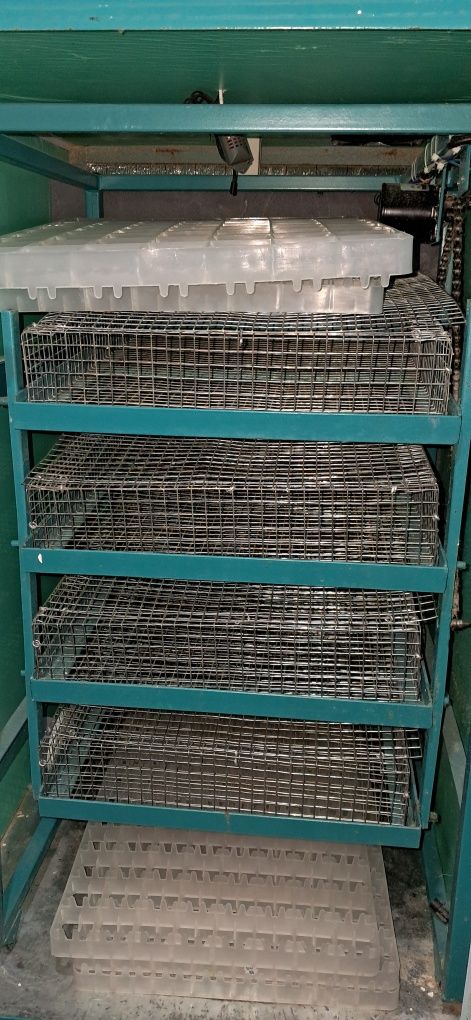 Инкубатор Pro-Balapan 352 Nomad