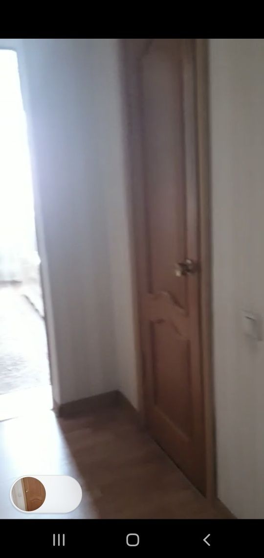 Двери чисто деревянные