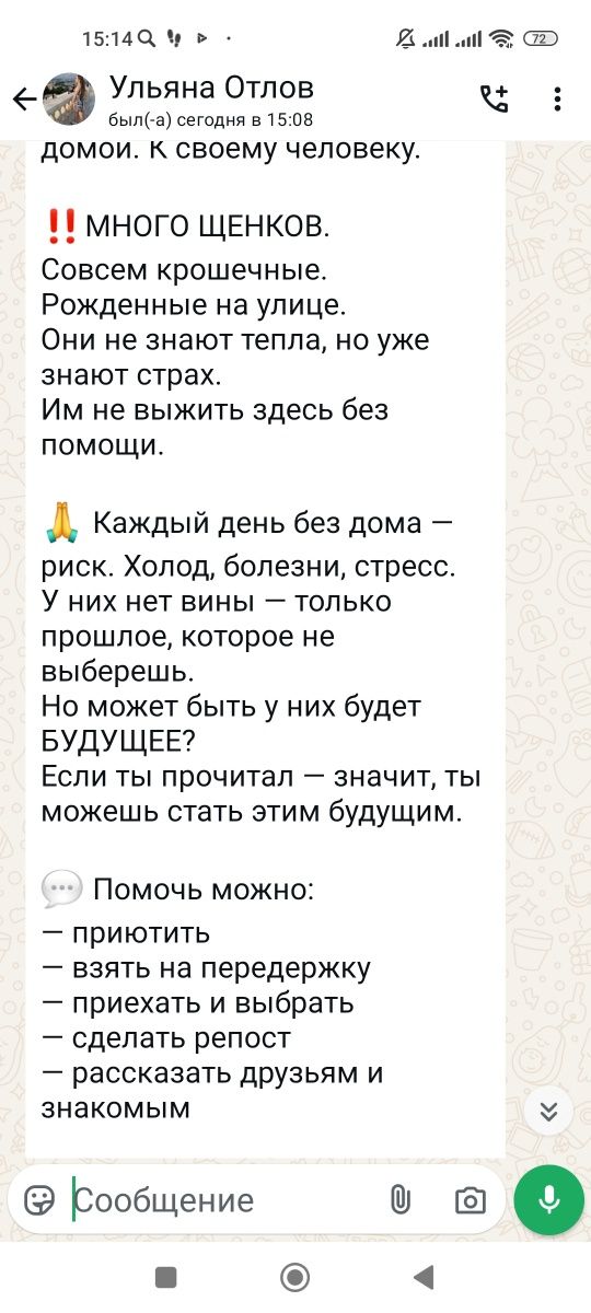 Овчарки, алабай,хаски помогите обрести им дом
