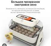 Инкубатор RCom king Suro