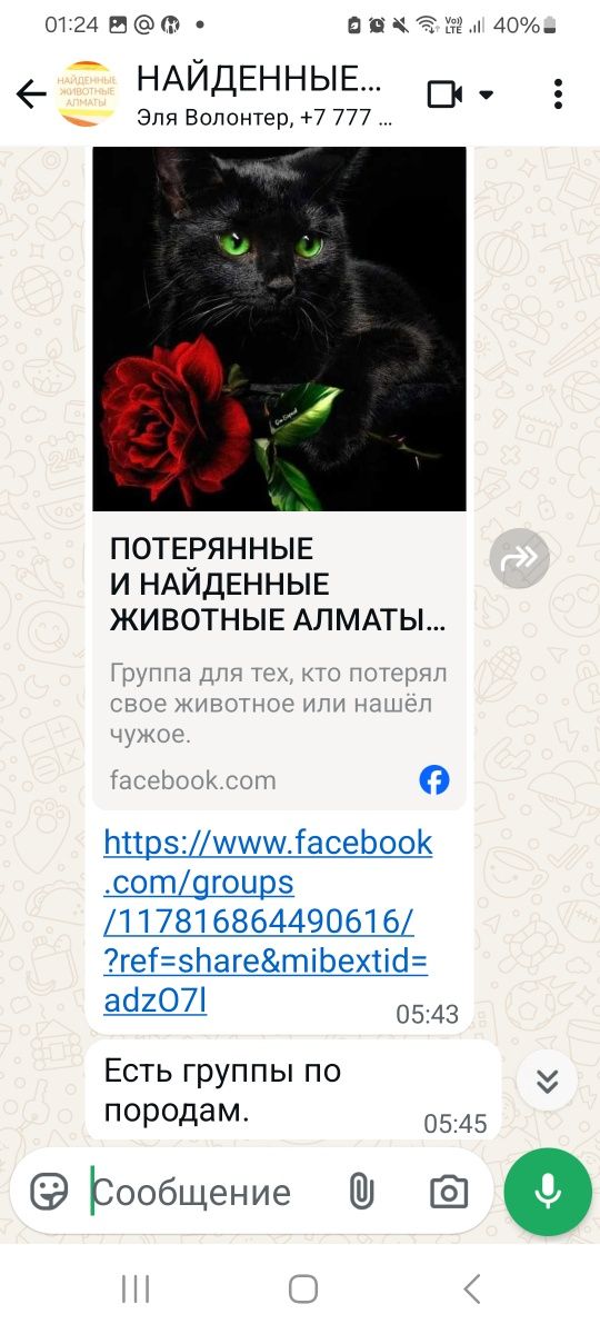 Потерянные найденные породистые дворняжки щеночки кошечки котики котят