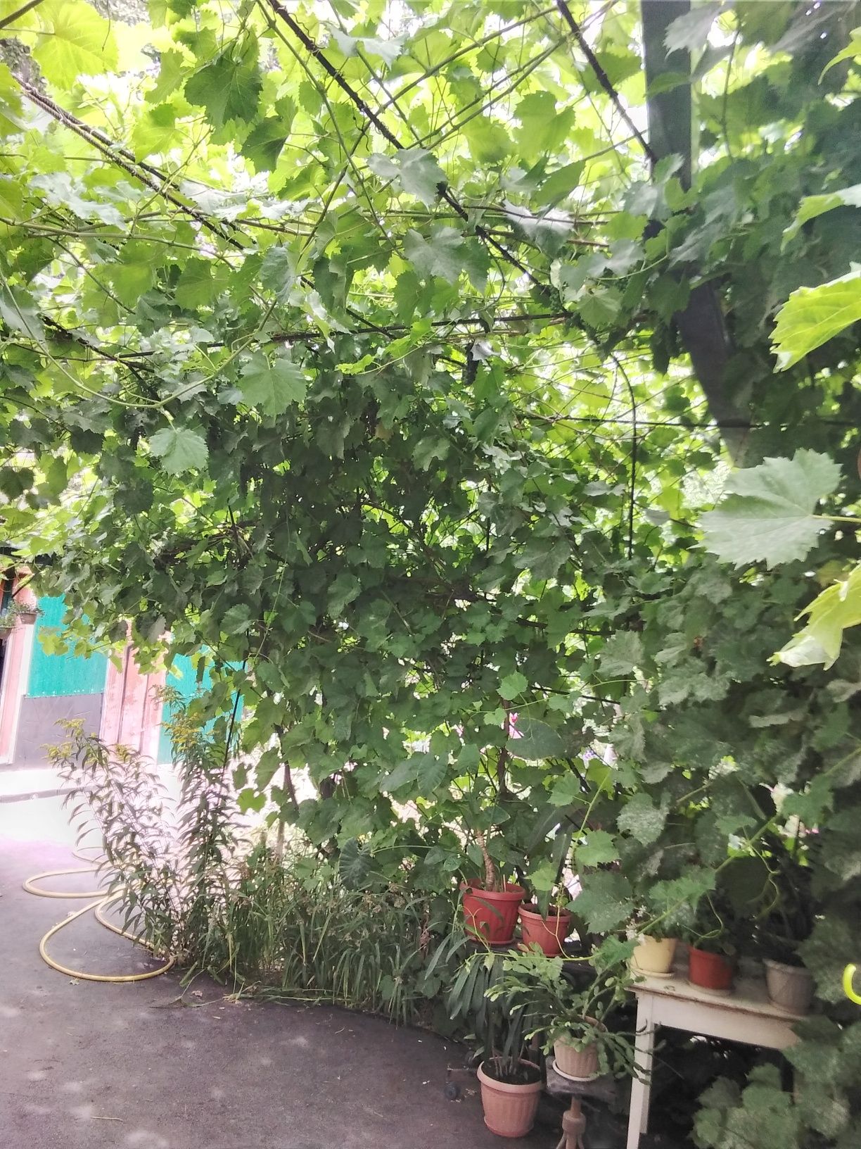 Продам дом рядом с горами