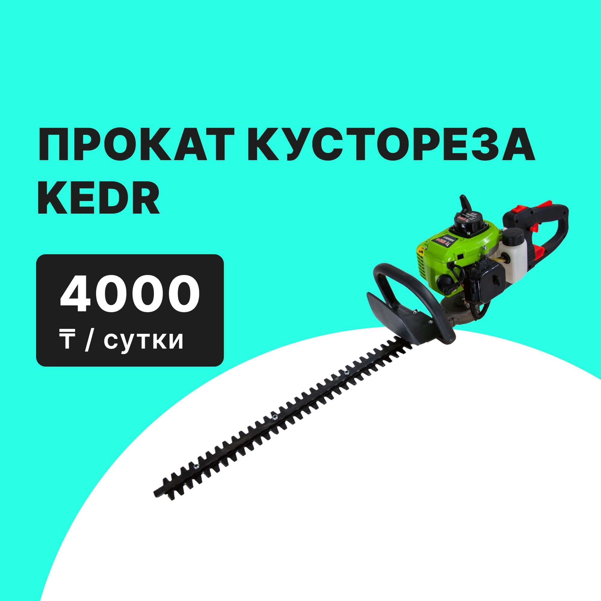 Прокат Аренда Триммер Бензиновый от 4000 тг сутки