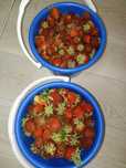 Продам клубнику дачную. Крупная, вкусная