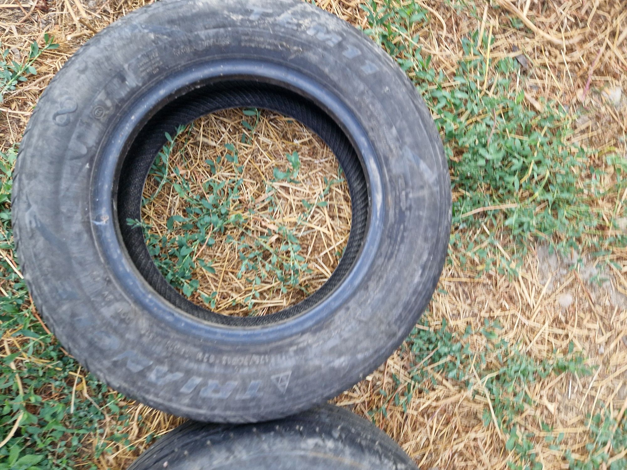шины triangle 175/70R13