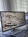 Монитор HP 22er 21.5” IPS Full HD