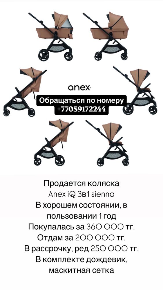 Коляска Anex IQ 3в1
