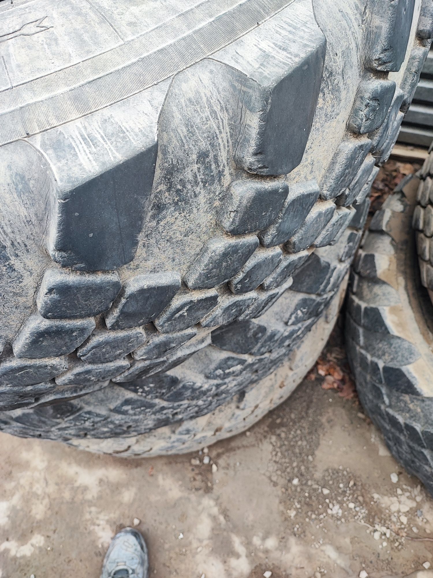 425/85 R21 покрышка вездеход