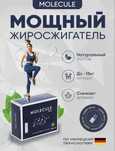 Жирозжигатель MOLECULE PLUS натуральный комплекс для похудения