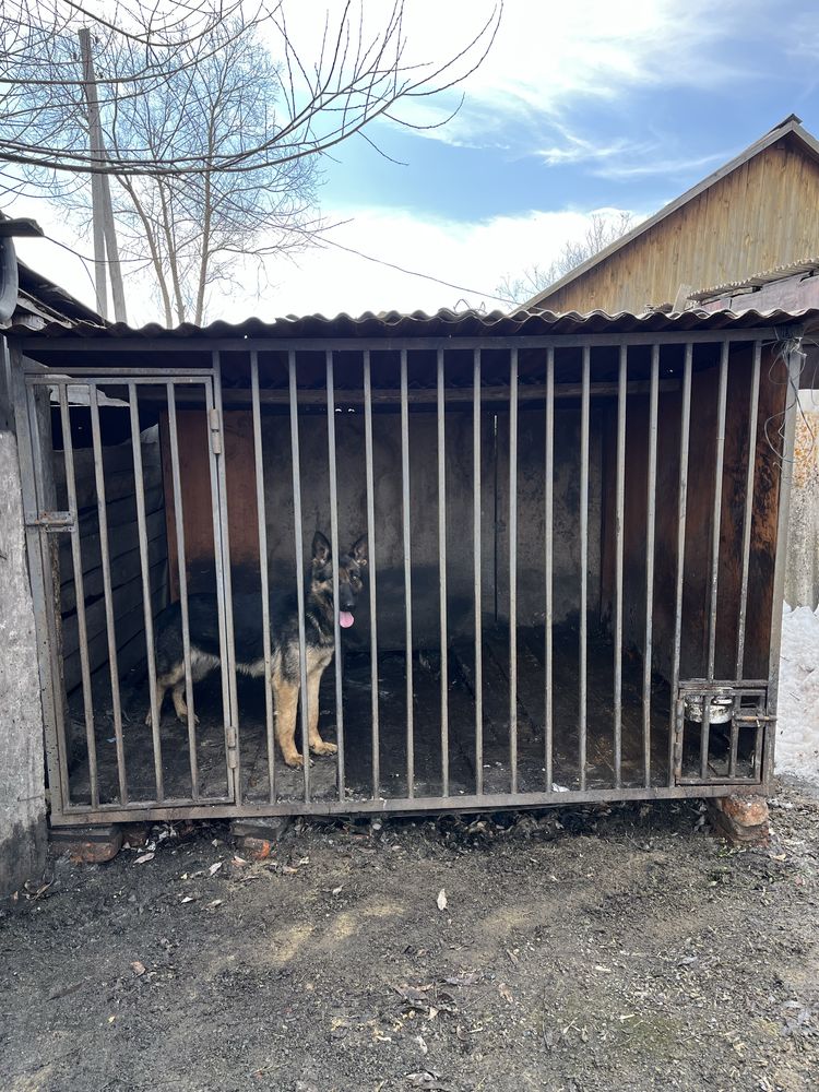 Продам вольер для собак