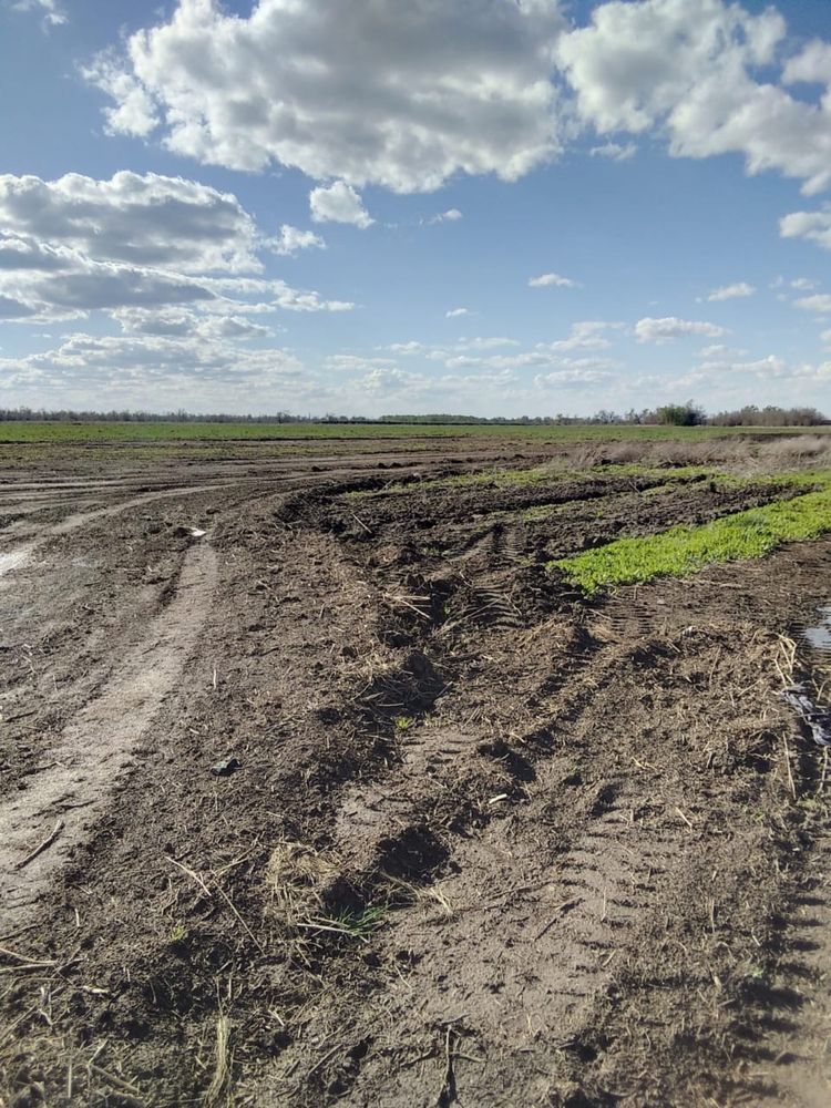 Продам землю в Байсерке