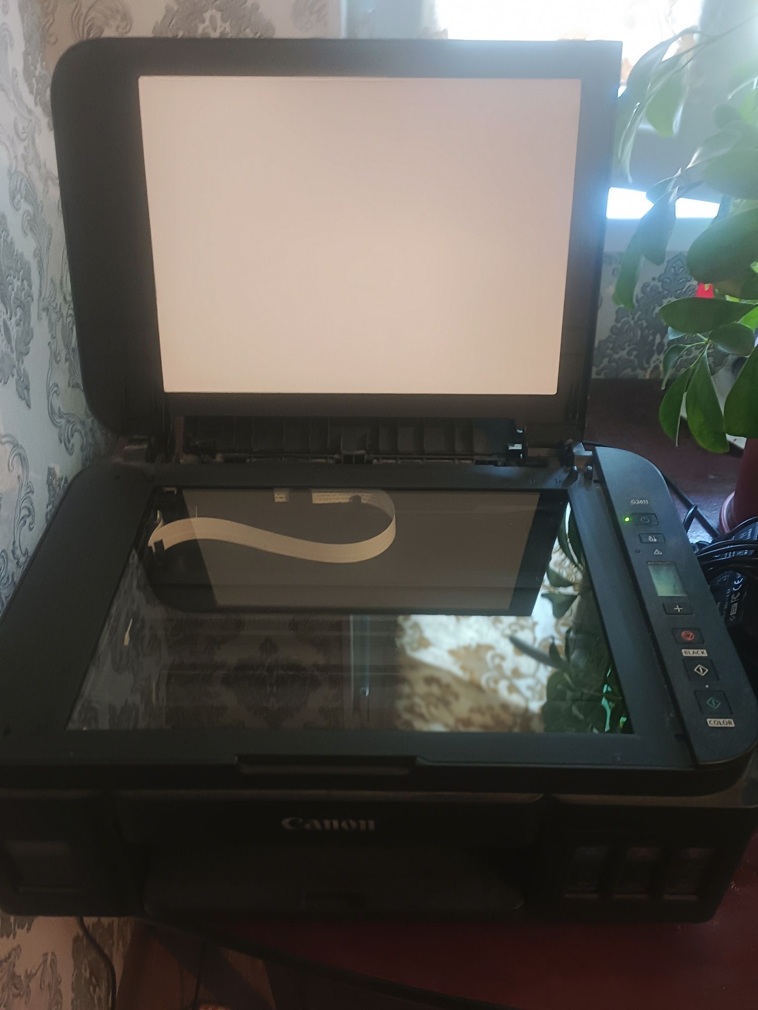 Принтер Canon 2411