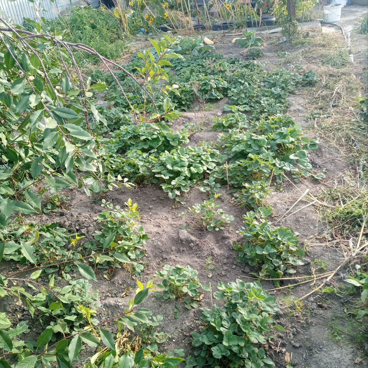 Срочно Продаётся Коттедж п.Рыбачий ул.Тайжана д60-2..