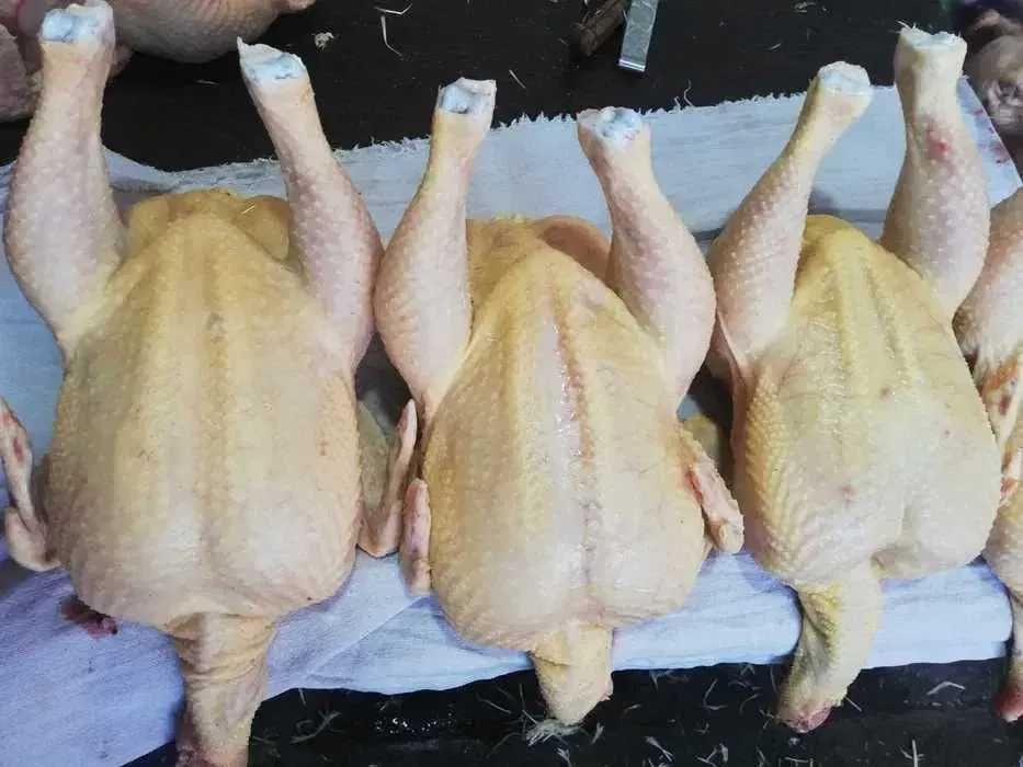 Мясо кур бройлеров