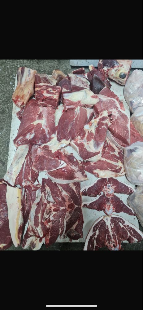 Продам Сочный Вкусный согым!