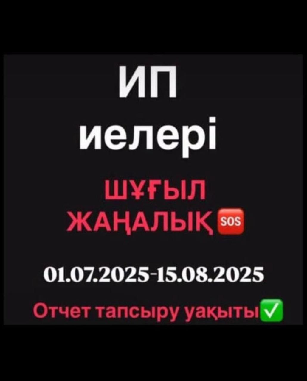 Все отчеты по ИП доступная цена