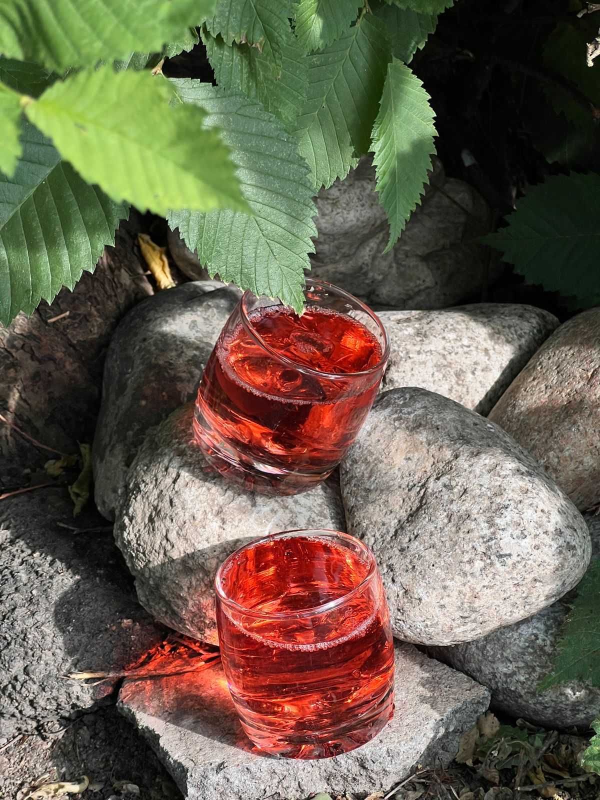 Консервированные компоты домашняя заготовка