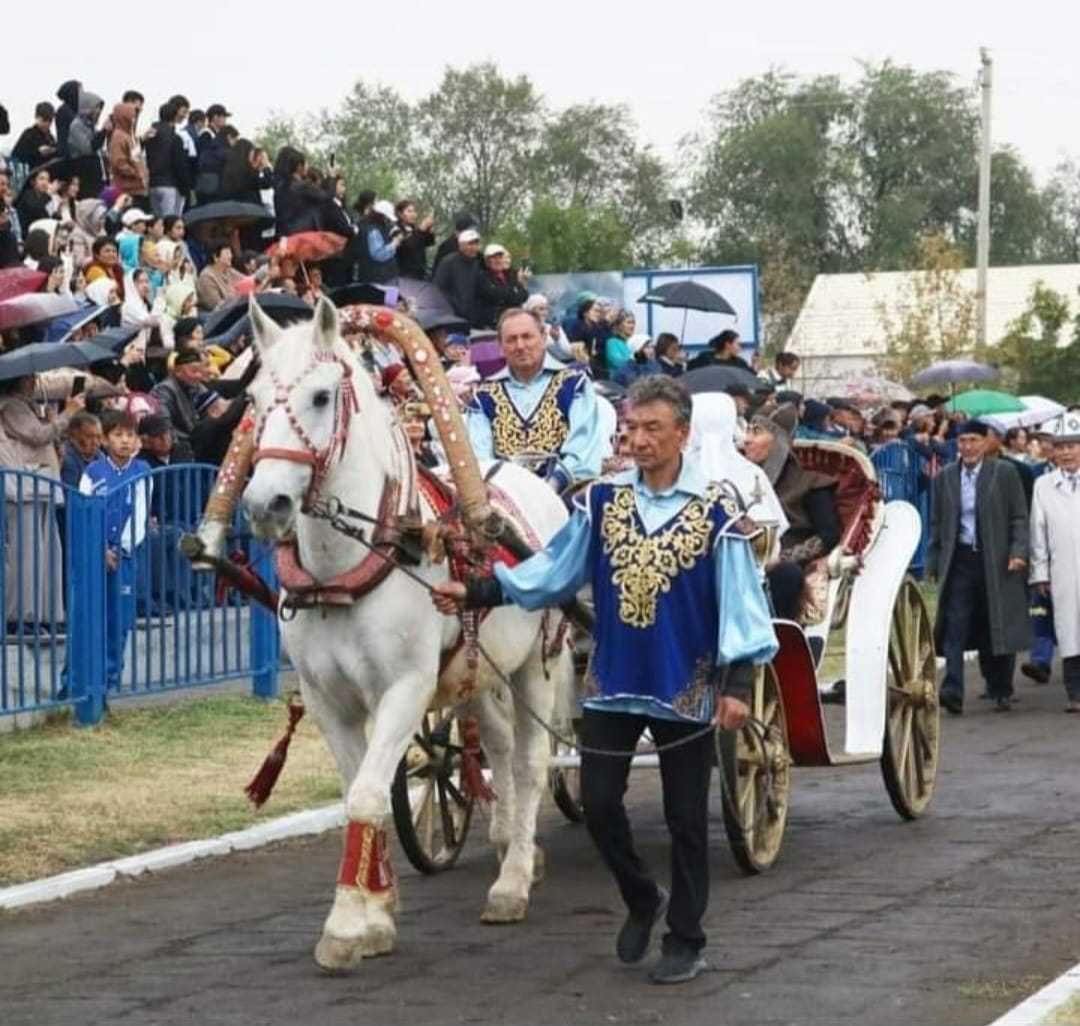 карета Золушка " "Диана"