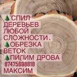 Спил деревьев любой сложности