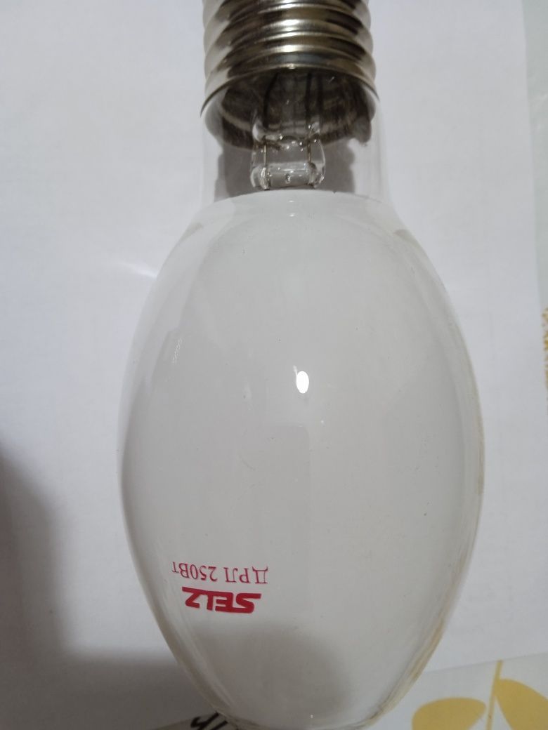 Продам лампочки большие по  2000