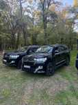 Аренда авто выписка из роддома гулянка той узату бизнес