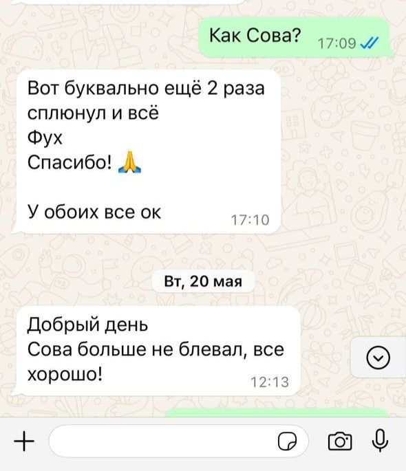 УЗИ Ветеринар на дом Ветеринар на выезд Ветеринарный врач Вакцинация