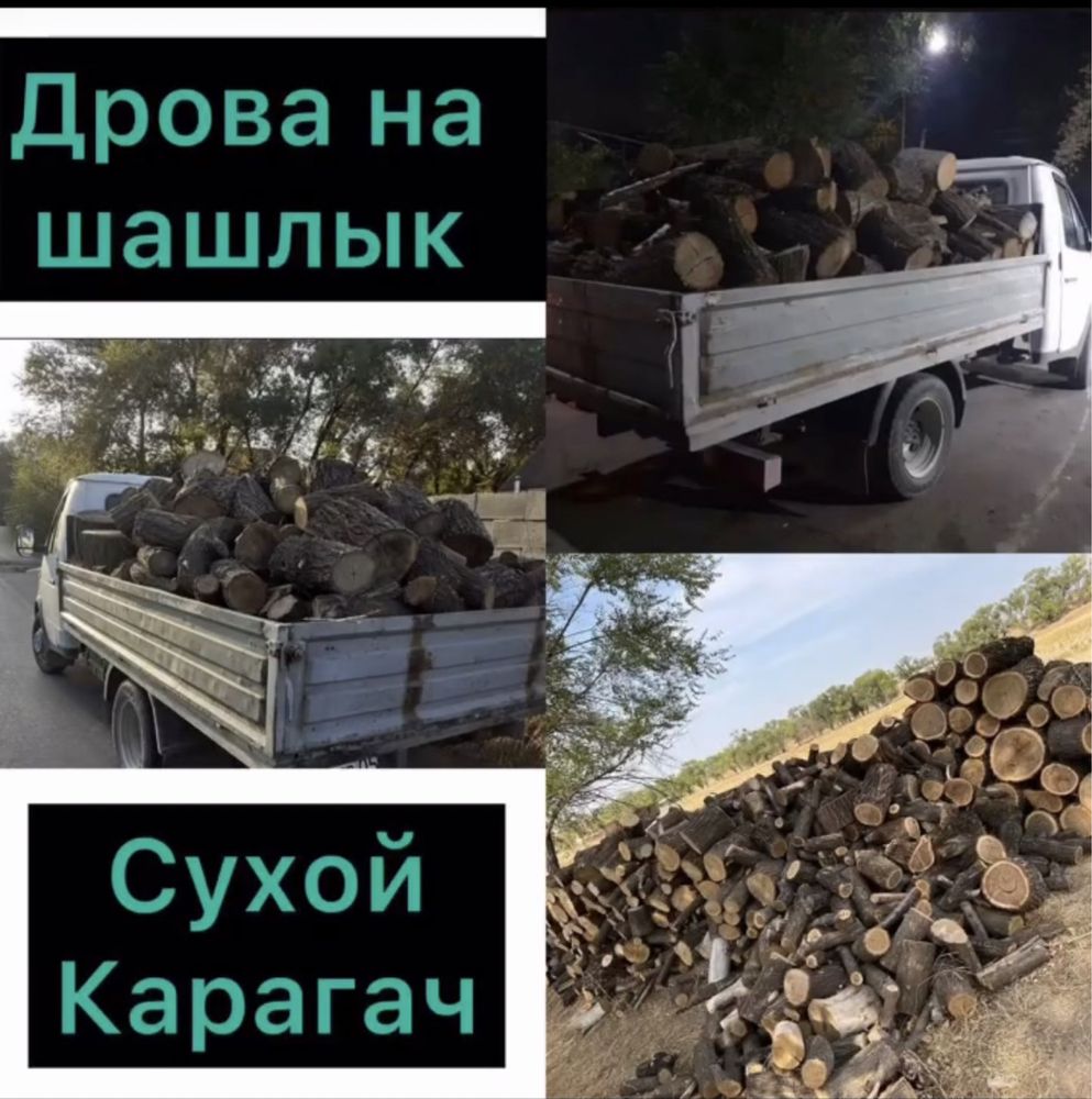 Карагач для шашлыка