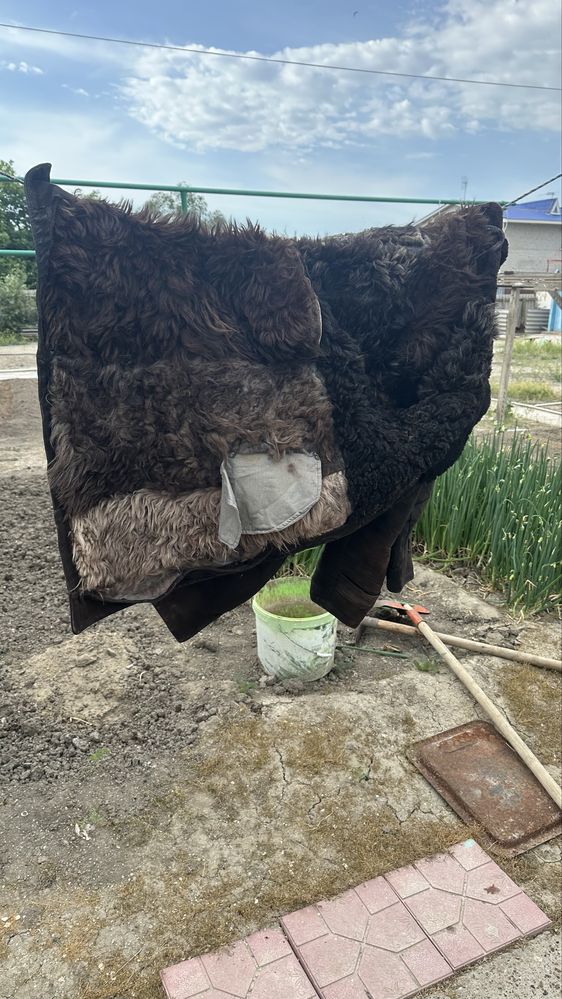 Продаю натуральный пальто (тон)