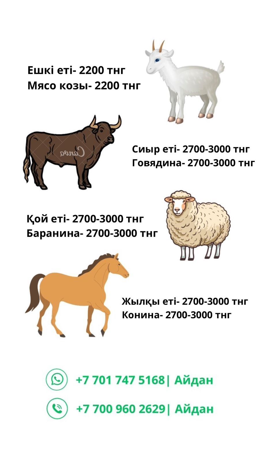 Мясо Ет Говядина Баранина Конина