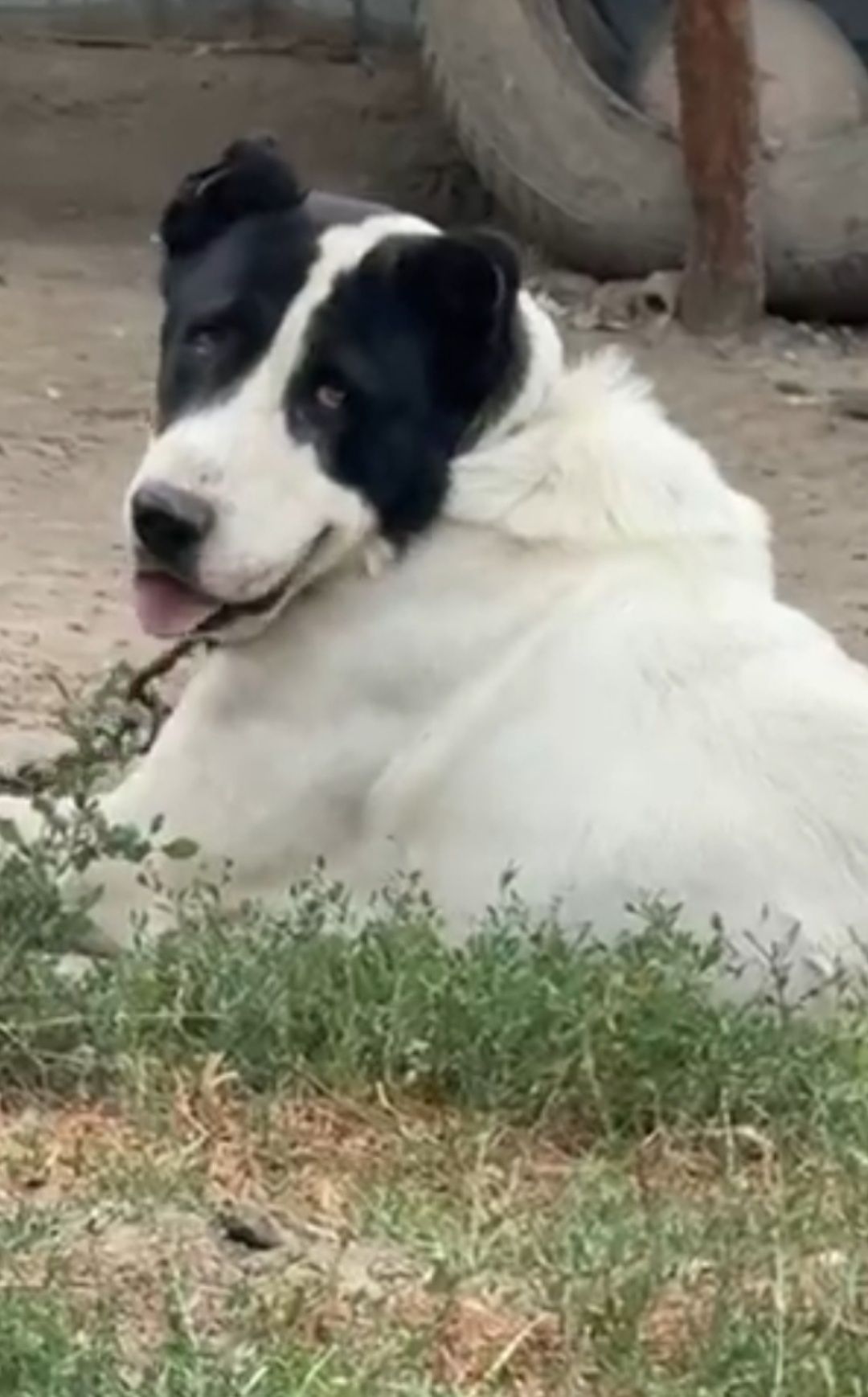 На вязку ждем всех желающих