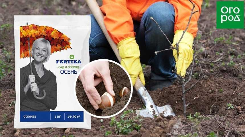 Фертика Хвойное Весна для вечнозеленых и голубики Не содержит хлор