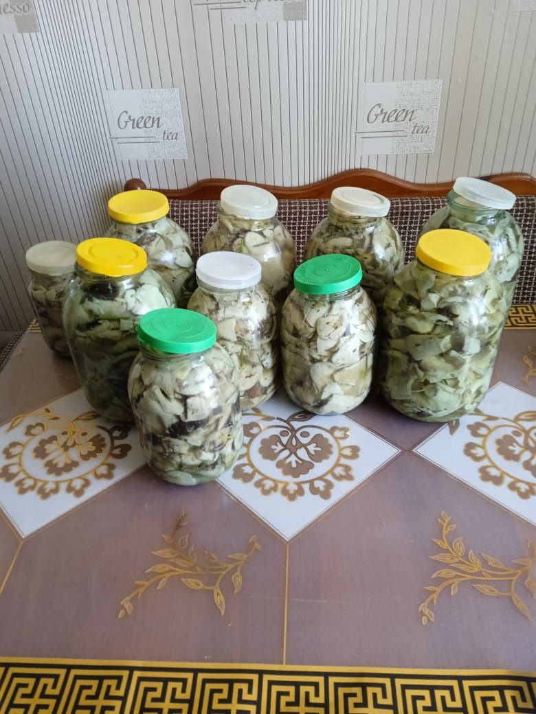 Продам солёные свежие грибы грузди