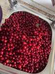 Продам вишню для компота