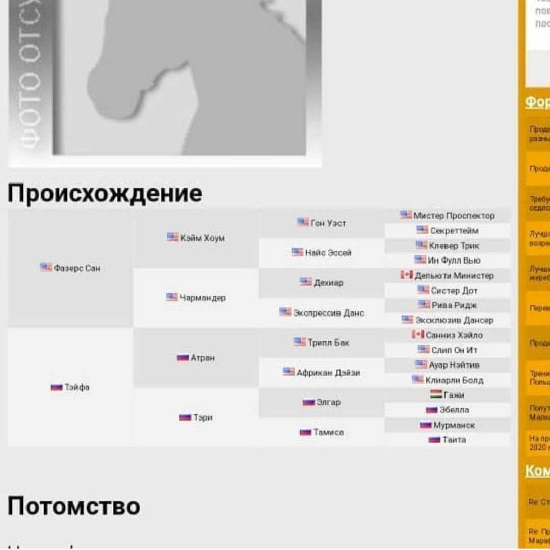Продаю чистокровную кобылу