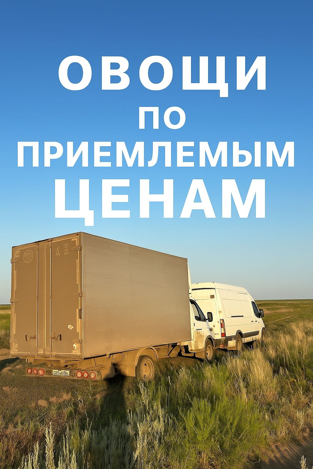 Овощи оптом и в розницу
