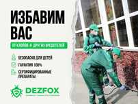 Уничтожение Клопов Мышей Крыс Дезинфекция Дезинсекция Дератизация