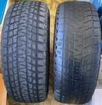 Шины Bridgestone Blizzak DM-V1