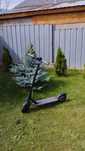 Электросамокат mijia electric scooter 1s
