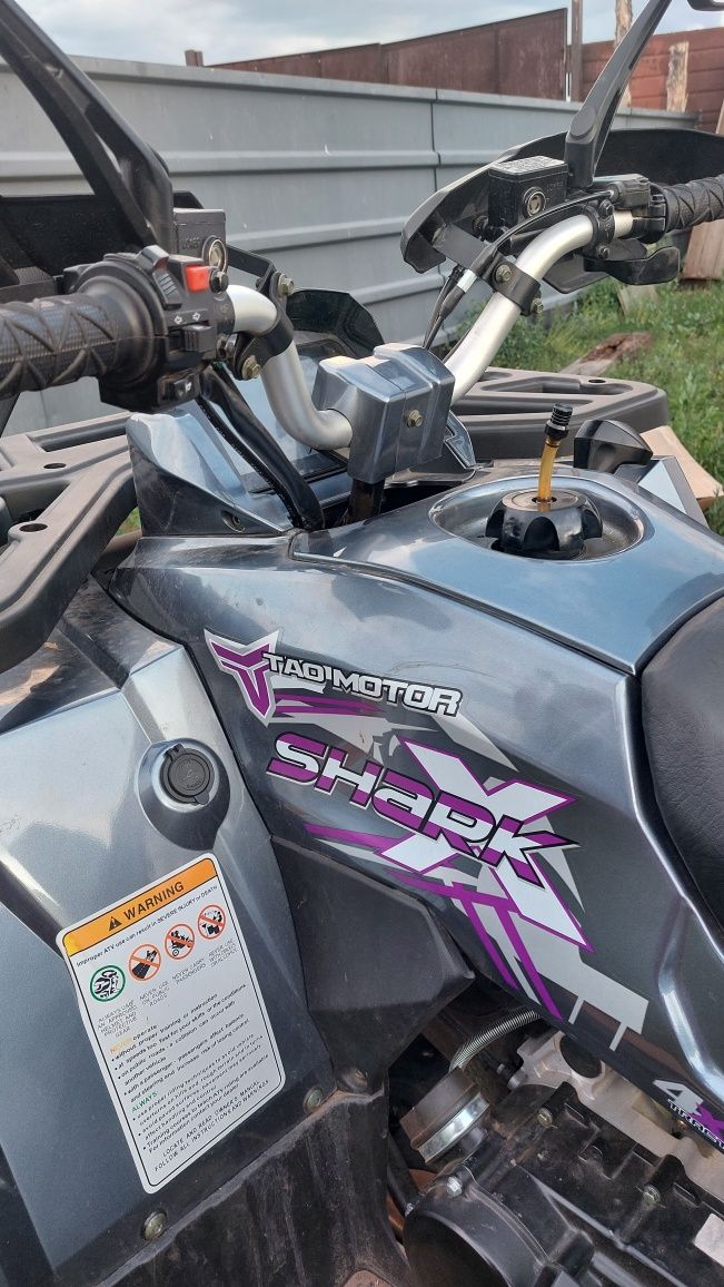 Квадроцикл TAO MOTORS 200 Shark