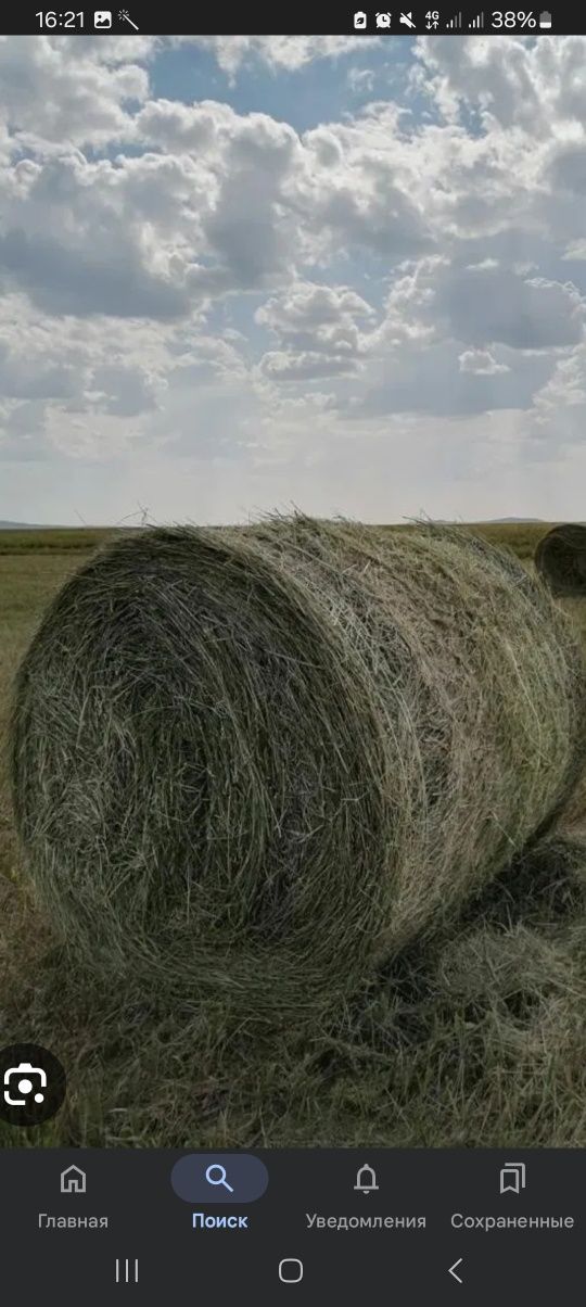 Продаю сено в рудный