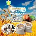Продам зерно без запаха